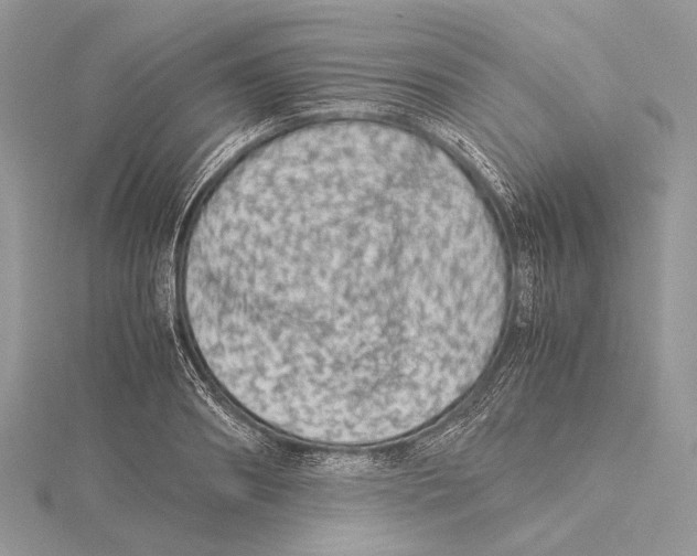 X0000115540890200912041008