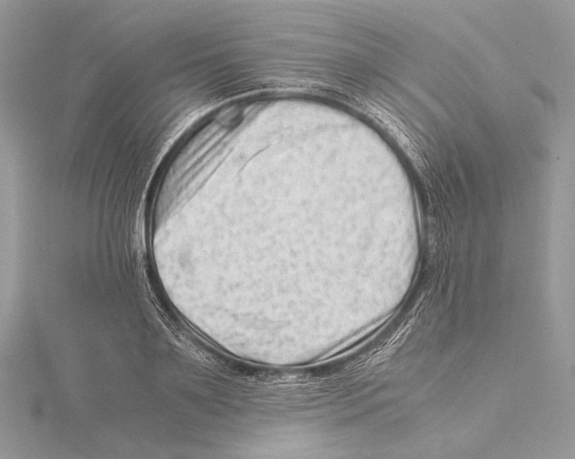 X0000115540891200912041008