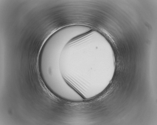 X0000115540892200912041008