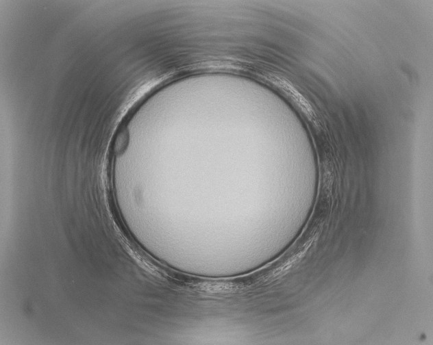 X0000115540893200912041008