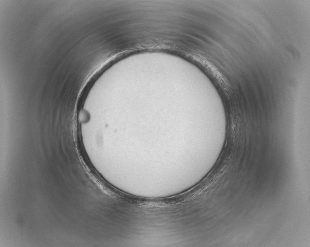 X0000115540894200912041008