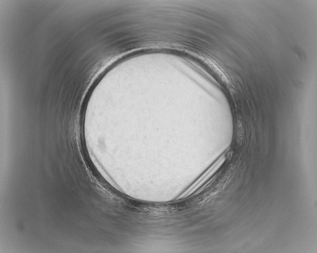 X0000115540895200912041008