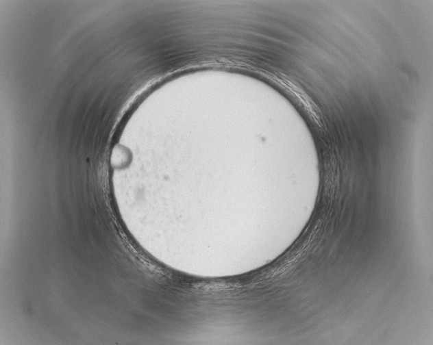 X0000115540896200912041008