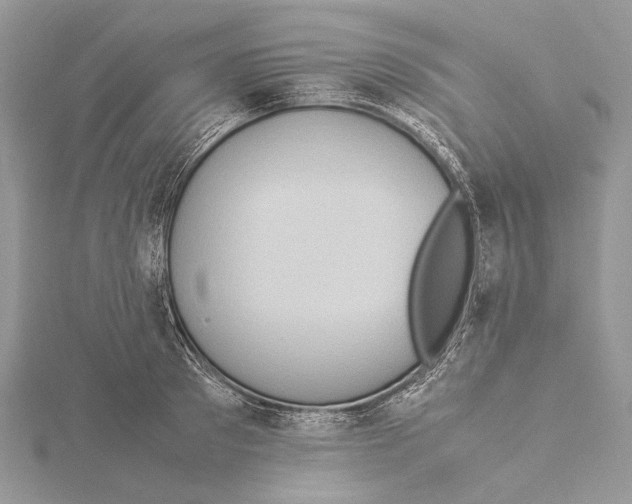 X0000115540897200912041008