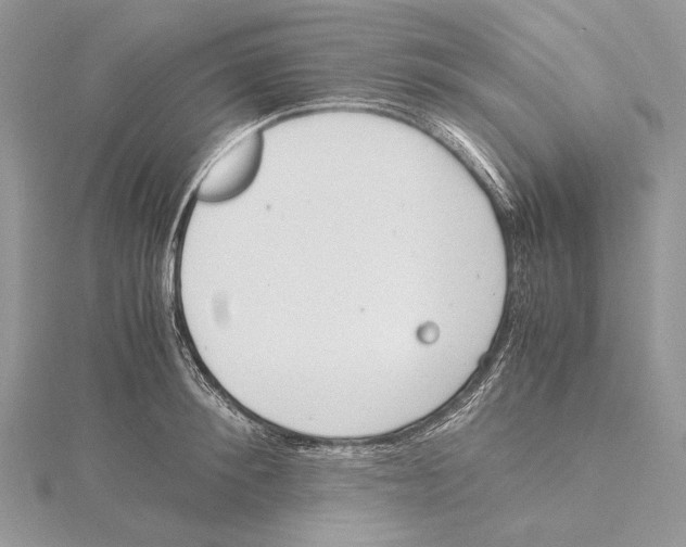 X0000115540900200912041008