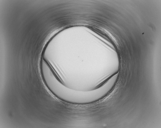 X0000115540901200912041008