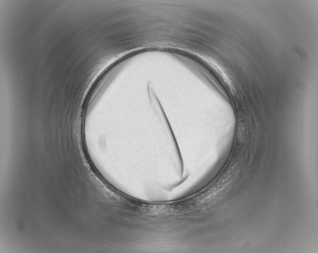 X0000115540903200912041008