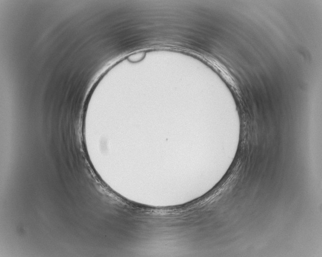 X0000115540904200912041008