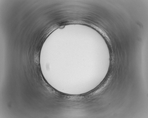 X0000115540905200912041008