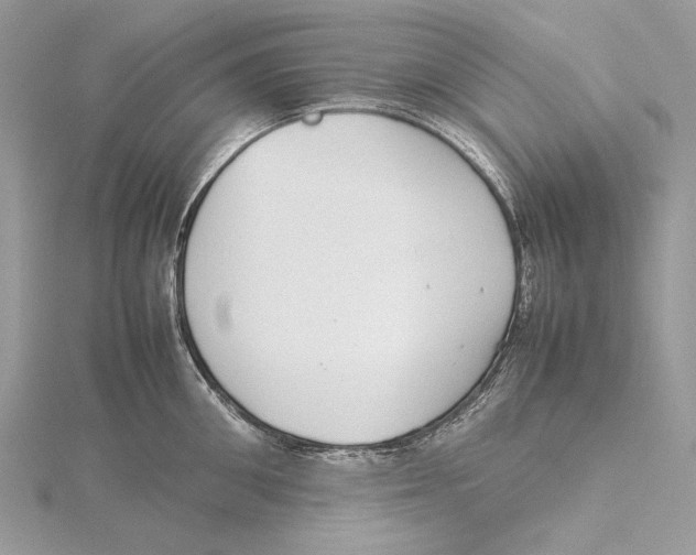 X0000115540906200912041008