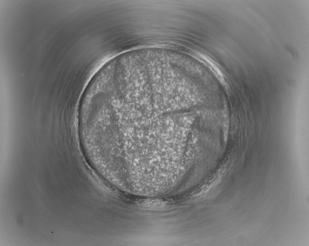 X0000115540907200912041008