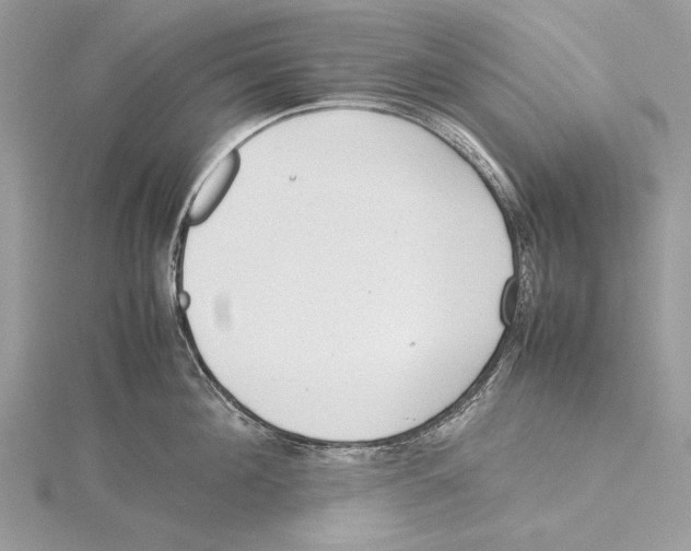 X0000115540908200912041008