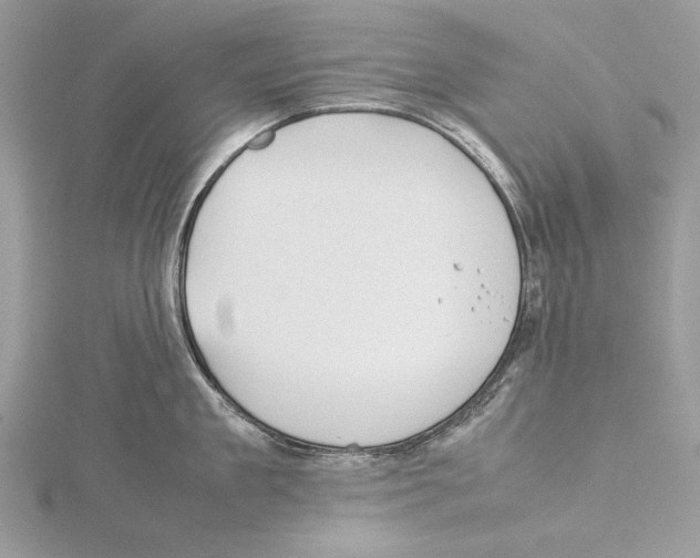 X0000115540909200912041008