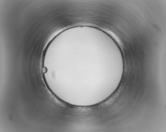 X0000115540910200912041008