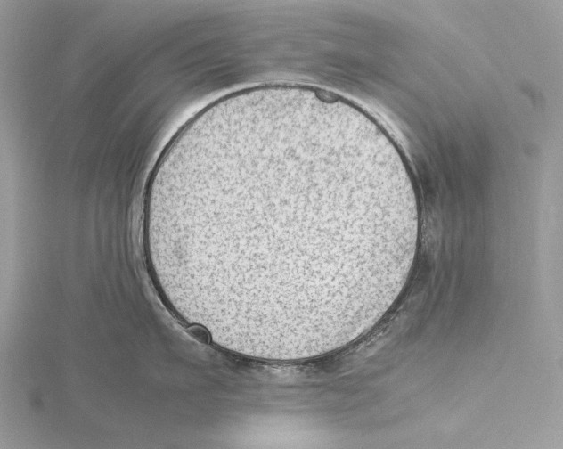 X0000115540911200912041008