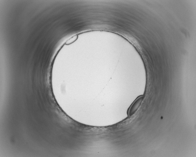 X0000115540912200912041008