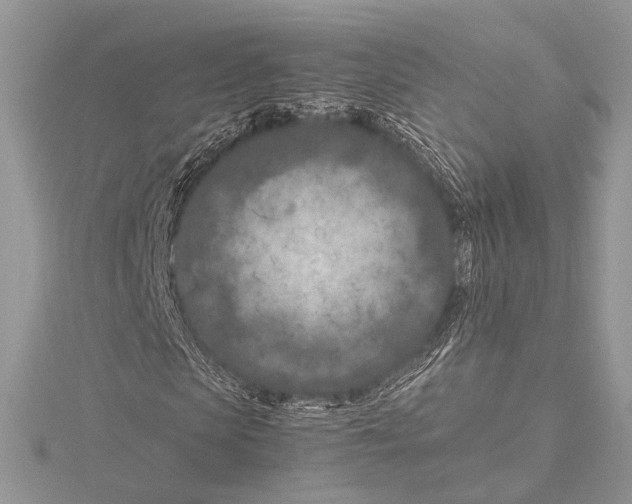 X0000115540913200912041007