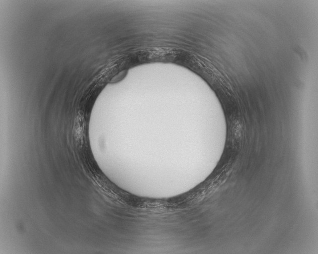 X0000115540914200912041007