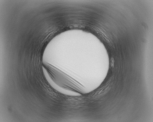 X0000115540915200912041007