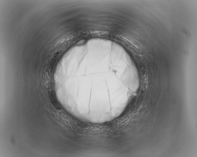 X0000115540917200912041007