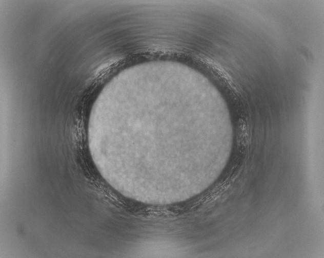 X0000115540918200912041007