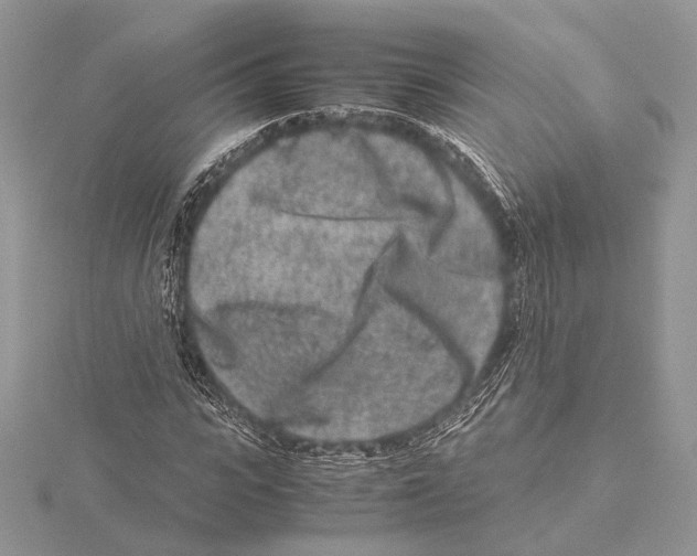 X0000115540919200912041007