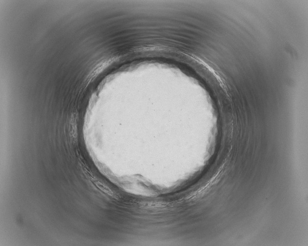 X0000115540921200912041007