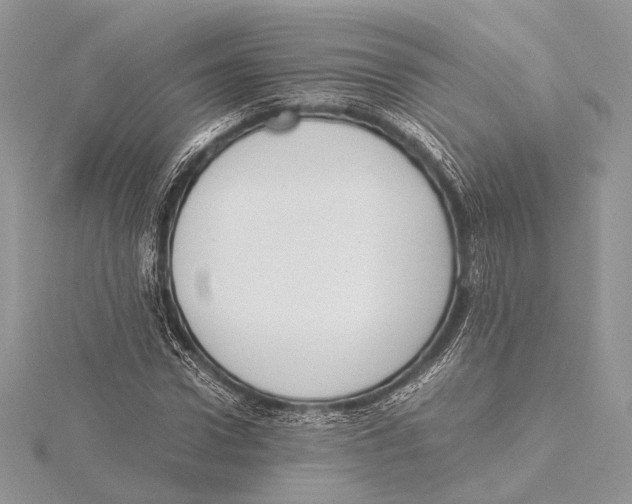 X0000115540922200912041007