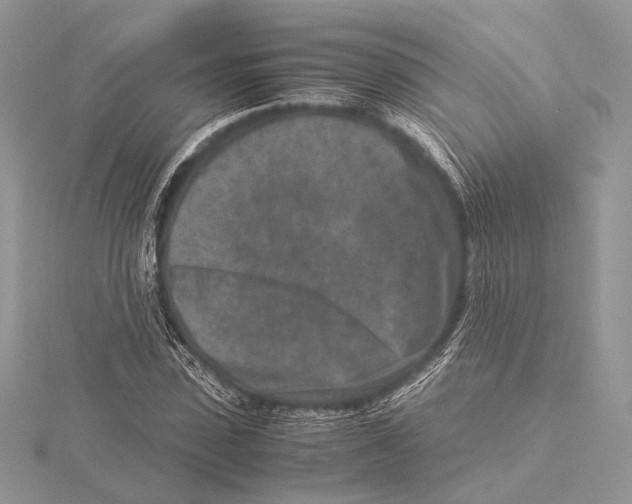 X0000115540923200912041007