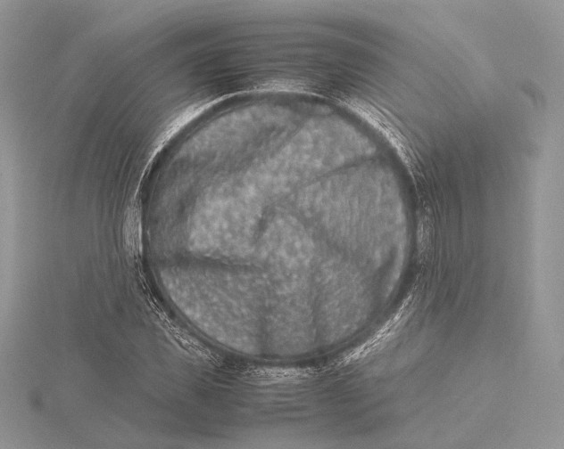 X0000115540925200912041007