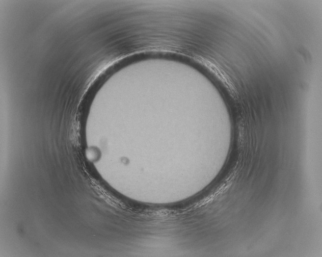 X0000115540926200912041007