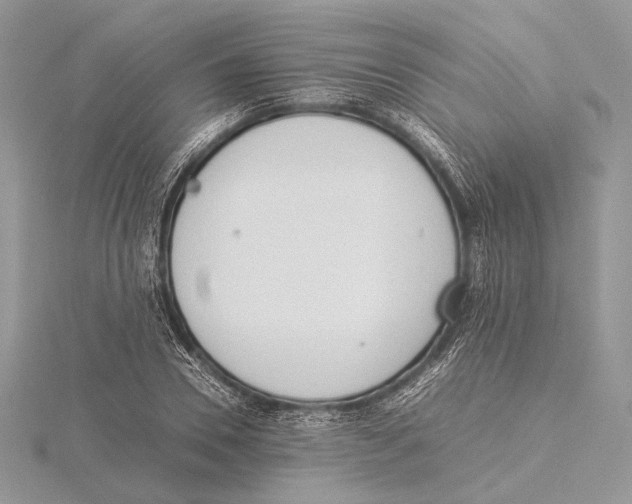 X0000115540930200912041007