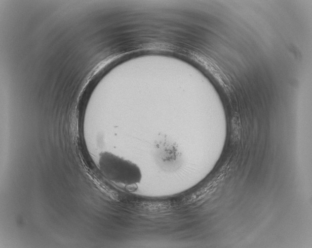 X0000115540931200912041007