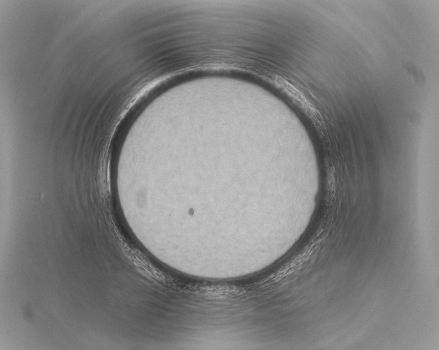 X0000115540934200912041007