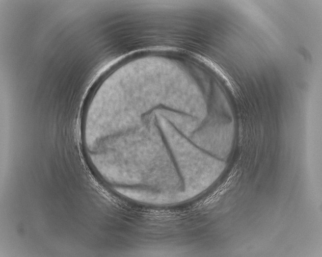 X0000115540935200912041007