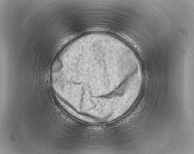 X0000115540937200912041007