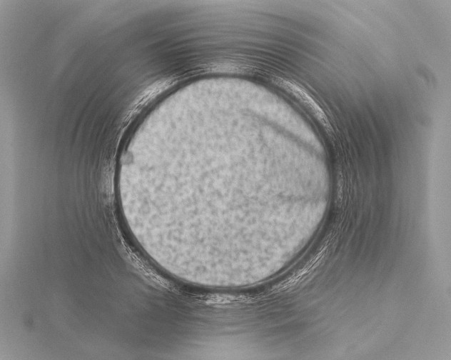 X0000115540938200912041008