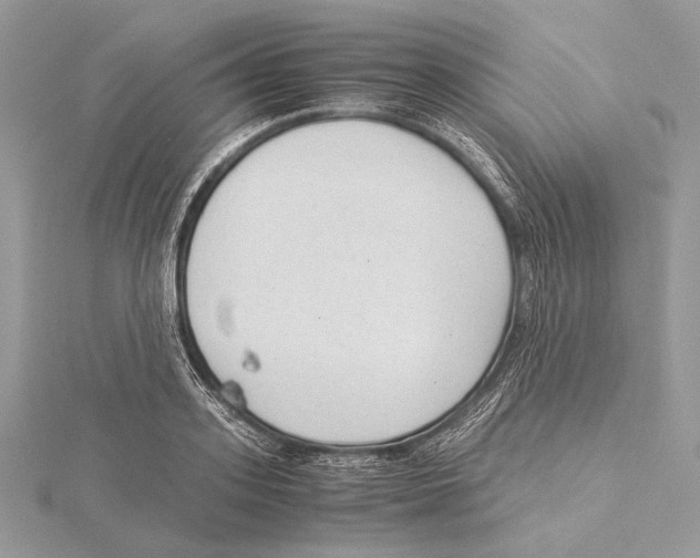 X0000115540939200912041008