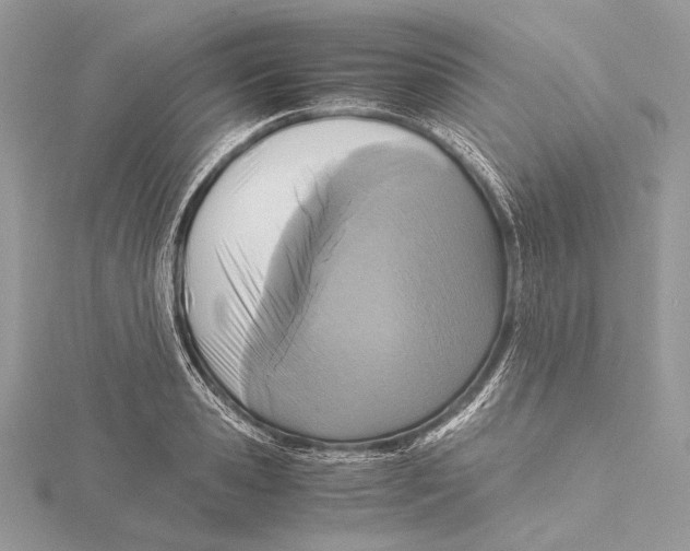 X0000115540941200912041008