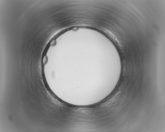 X0000115540942200912041008