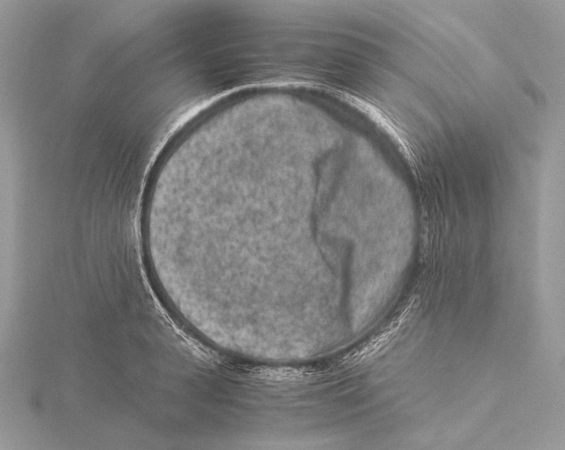 X0000115540943200912041008