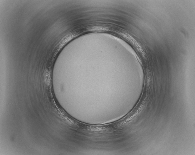 X0000115540945200912041008