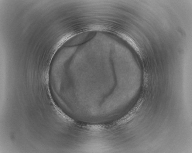 X0000115540946200912041008