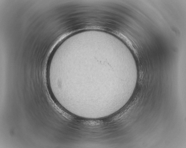 X0000115540947200912041008