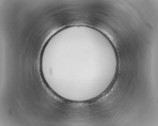 X0000115540949200912041008