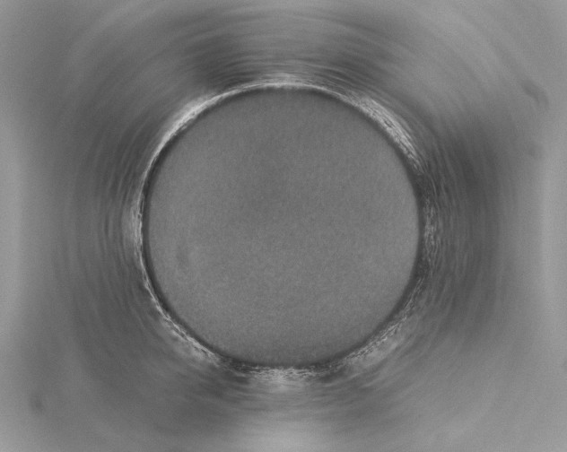 X0000115540950200912041008