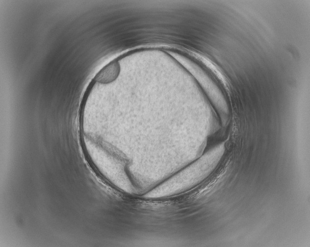 X0000115540951200912041008