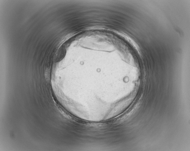 X0000115540953200912041008