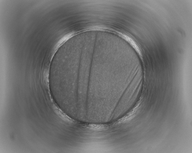 X0000115540954200912041008