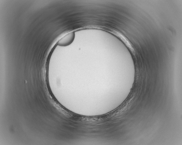 X0000115540955200912041008